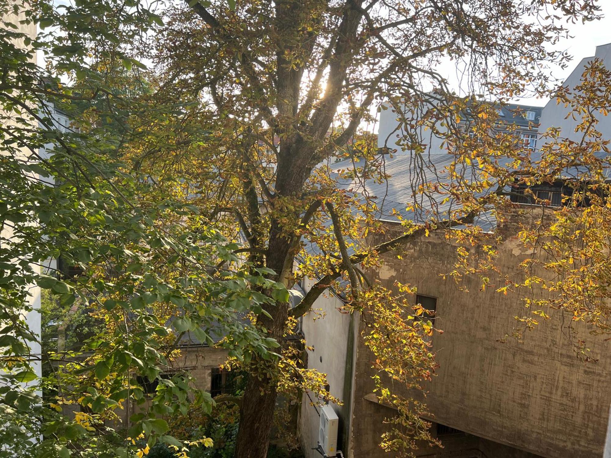 Appartement Schillerkiez Helle Zentrale Mit Berliner Charme Berlijn